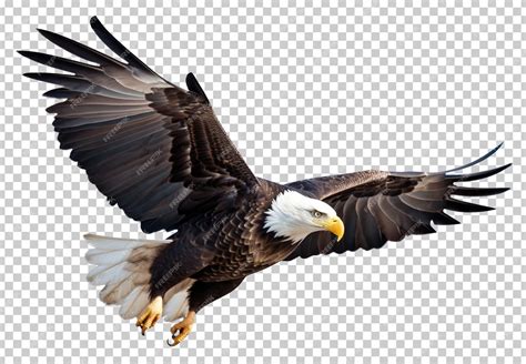EAGLE .